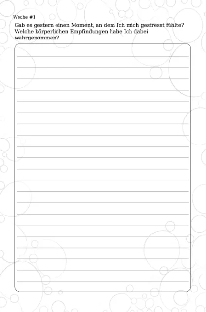 Beispielseiten aus 2 PRACTICAL PLANNERS, Blutdruck